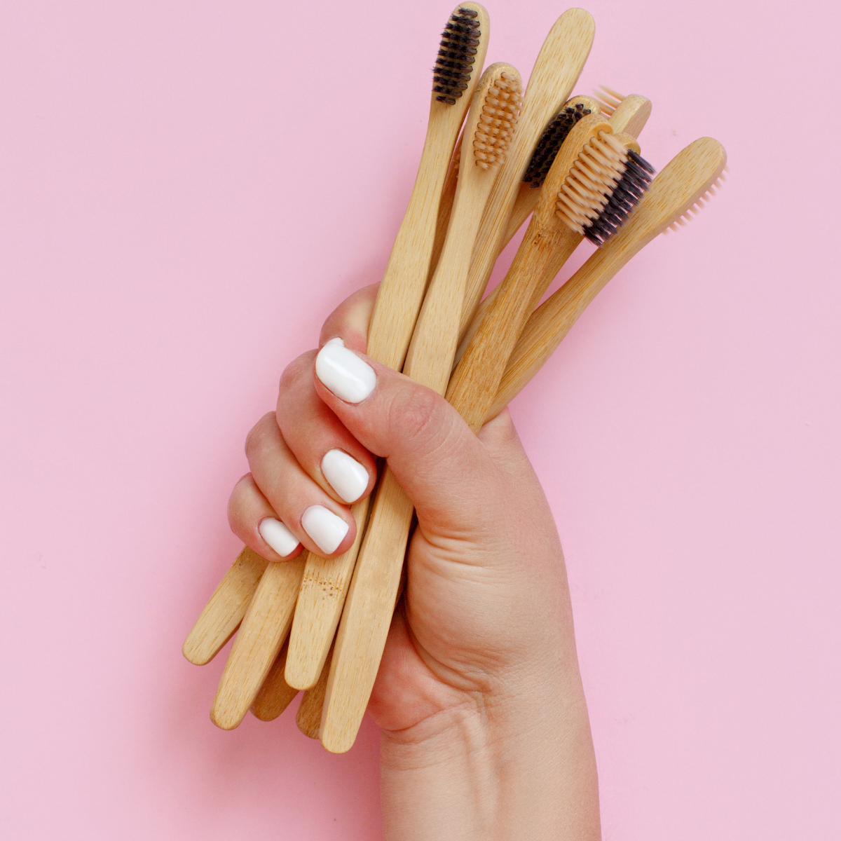 Curiosidades Sobre a Escova de Dentes de Bambu Ecológica Que Ninguém te Conta